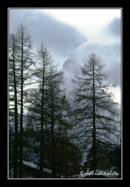 08 Cervin en hiver